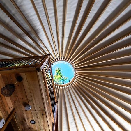 Yourtes Glamping Du Poisson Blanc Notre-Dame-du-Laus Екстериор снимка